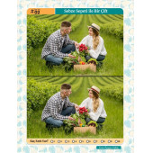 Herkes İçin Fark Bulma Kitabı- 50 Tam Sayfa Fark Bulma) thumbnail 3