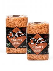 Organik Kırmızı Mercimek 1 kg, 2 adet - 1