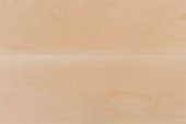 CRICUT 2006255 IHLAMUR AGACI TABAKA 30.5X15CM 4LÜ PAKET - 2