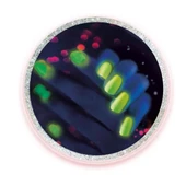 64471 Bilim ve Oyun - Tırnak Laboratuvarı +8 yaş - 4