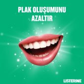 Listerine Diş Ve Diş Eti Koruması Hafif Tat Alkolsüz Ağız Bakım Suyu 500x3 1500 Ml - 5