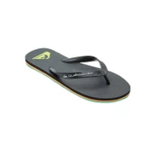 Quiksilver MOLOKAI CORE Erkek Terlik  AQYL101325-QK.KVJ2 thumbnail 1