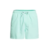 Quiksilver EVERYDAY 15 M JAMV Erkek Deniz Şortu EQYJV03531-GCZ0 - 1