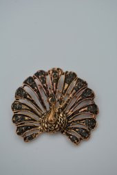 STONEAGE Broş Yaka İğnesi Tavuskuşu Zirkon Taşlı thumbnail 1