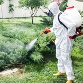 KISA TİP İLAÇLAMA TABANCASI, PÜSKÜRTME TABANCASI İLAÇLAMA KOLU - 2