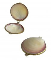 Deniz Kabuğu Cüzdan 6,5 x 3 cm - Clam Kabuk Cüzdan - 1