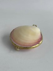 Deniz Kabuğu Cüzdan 6,5 x 3 cm - Clam Kabuk Cüzdan - 2