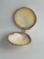 Deniz Kabuğu Cüzdan 6,5 x 3 cm - Clam Kabuk Cüzdan - 3