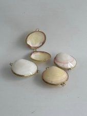 Deniz Kabuğu Cüzdan 6,5 x 3 cm - Clam Kabuk Cüzdan - 4