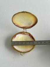 Deniz Kabuğu Cüzdan 6,5 x 3 cm - Clam Kabuk Cüzdan - 5