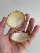 Deniz Kabuğu Cüzdan 6,5 x 3 cm - Clam Kabuk Cüzdan - 8