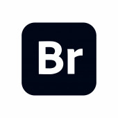 Adobe Bridge - 1