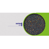 Akgün Kanola Rapiska Tohumu 1 kg - 2