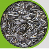 Akgün Alaca çekirdek ince 1 kg - 1
