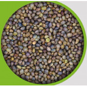 Akgün Tarım fiğ tohumu1 kg - 1