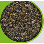 vivid bird Nijer 1 kg - 1