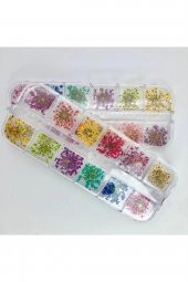 Fontenay Nail Art Gerçek Kuru Süsleme Çiçekleri(12Lİ) Protez Tırnak - 1