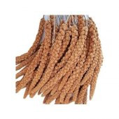 Kızıl Dal Darı 1 kg - 1