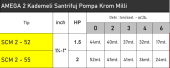 AMEGA SCM2-52 1.5 HP 220V Monofaze Çift 2 Kademeli Santrifüj Pompa - Bakır Sargı - 2