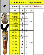 VORTEX VRM 100 1 HP 220v Bronz Yağ Çemberli NSK Rulmanlı 4" Dalgıç Pompa Çıplak Motor - 2