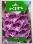 Genta Yüksük Otu Digitalis purpurea - 1