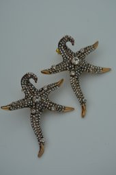 STONEAGE Deniz Yıldızı Zirkon Taşlı Bayan Küpe thumbnail 1