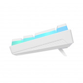 Radiant K11 Mekanik Klavye Type-C Bağlantı RGB Puding Tuş Blue Switch US Gaming Oyuncu Klavye - 6