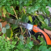 Rico 018-RC2504 Orta Diş Budama Testeresi 25cm - Bahçe Budama ve Zeytin Hasadı İçin Profesyonel Testere thumbnail 1