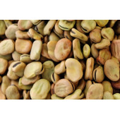 Akgün tarım nefis kuru bakla 1 kg - 1