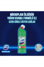 Domestos Yoğun Kıvamlı Çamaşır Suyu Dağ Esintisi Maksimum Hijyen 750 ml 6 Adet - 3