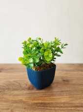 Mini Saksıda Yapay Bitki Şimşir Gerçek Taş Yosunlu Toplam 16 Cm Dekoratif Banyo Mutfak Masa Çiçeği - 1