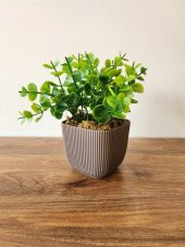 Mini Saksıda Yapay Bitki Şimşir Gerçek Taş Yosunlu Toplam 16 Cm Dekoratif Banyo Mutfak Masa Çiçeği - 1