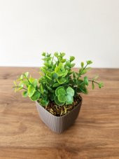 Mini Saksıda Yapay Bitki Şimşir Gerçek Taş Yosunlu Toplam 16 Cm Dekoratif Banyo Mutfak Masa Çiçeği - 2
