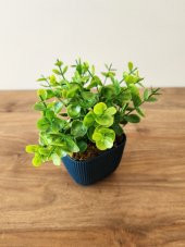 Mini Saksıda Yapay Bitki Şimşir Gerçek Taş Yosunlu Toplam 16 Cm Dekoratif Banyo Mutfak Masa Çiçeği - 3