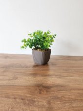 Mini Saksıda Yapay Bitki Şimşir Gerçek Taş Yosunlu Toplam 16 Cm Dekoratif Banyo Mutfak Masa Çiçeği - 3
