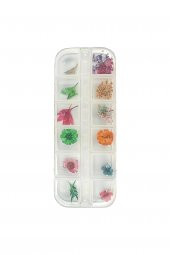 Fontenay Nail Art Gerçek Kuru Süsleme Çiçekleri(12Lİ) Protez Tırnak  No:2088 - 1