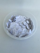 Yuvarlak Elbise Pvc Payet Pul Beyaz 30mm 625 Gram - 5