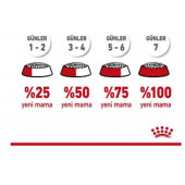 Royal Canin Kitten Yavru Kedi Kuru Maması 4 kg - 4