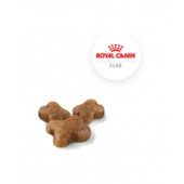 Royal Canin Kitten Yavru Kedi Kuru Maması 4 kg - 5