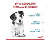 Royal Canin Mini Pupy Mini Yavru Irk Köpek Maması 4 kg - 2
