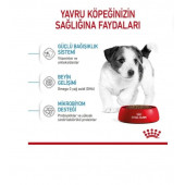 Royal Canin Mini Pupy Mini Yavru Irk Köpek Maması 4 kg - 3