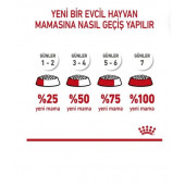 Royal Canin Mini Pupy Mini Yavru Irk Köpek Maması 4 kg - 4