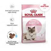 Royal Canin Mother And Babycat 4 kg - 3