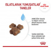 Royal Canin Mother And Babycat 4 kg - 4