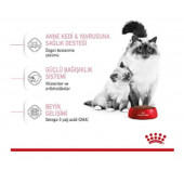 Royal Canin Mother And Babycat 4 kg - 5