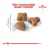 Royal Canin Sensible 33 Kuru Kedi Maması 4 Kg - 3