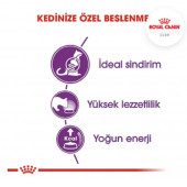 Royal Canin Sensible 33 Kuru Kedi Maması 4 Kg - 4