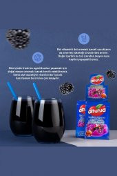 Altunsa Dut Aromalı Soğuk Toz Içecek 9 gr X 24 Adet - 3