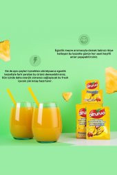 Altunsa Ananas Aromalı Soğuk Toz Içecek 9 Gr X 24 Adet - 3
