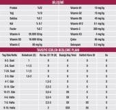 Relac 22-19 İthal Hayvansal İçerikli Buzağı Mama-25 Kg - 8